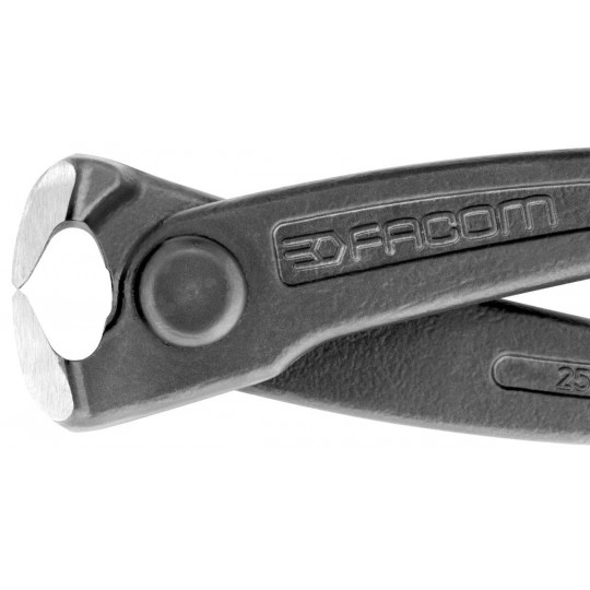 Facom monier tang 25cm - 495A.25EL