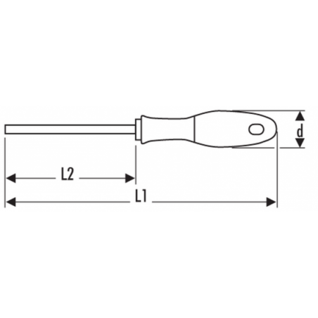 E165481 Expert Tournevis pour vis fente Mécanicien