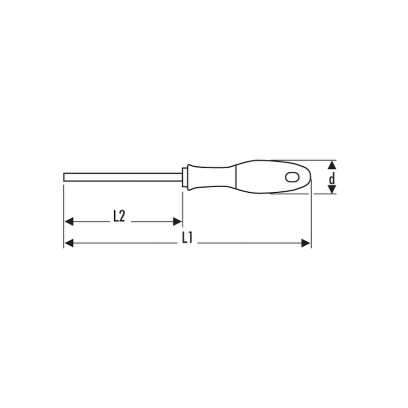 E165340 Expert Tournevis Resistorx®