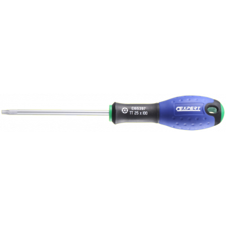 E165396 Expert Tournevis Resistorx®