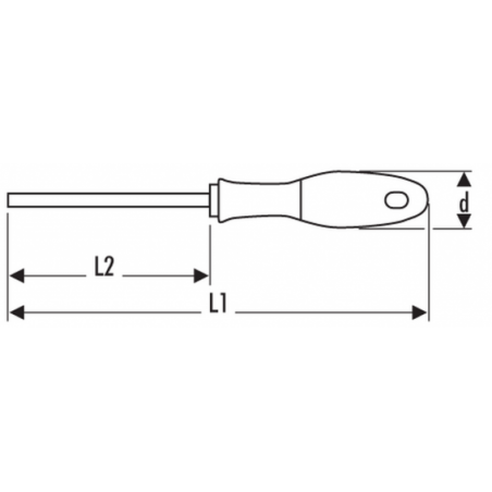 E165335 Expert Tournevis pour vis Pozidriv®