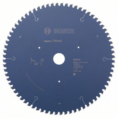 2608642499 Lame de scie circulaire Expert for Wood Accessoire Bosch pro outils