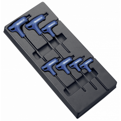 Module 7 clés mâles en t emmanchées torx - E121708 | Expert by Facom