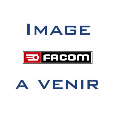 Protection pour presse d'établi 50t Facom | W.PROTECT50PB