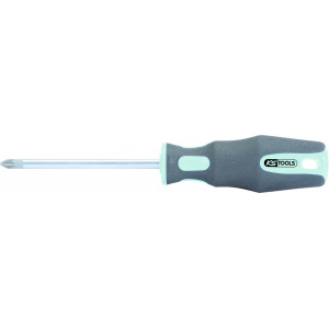 Tournevis INOX POZIDRIV, PZ2 - L. 100 mm KSTools | 153.1041