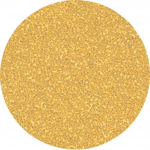 50 disques abrasifs bois et peinture C470 EXPERT 125mm G40 - BOSCH | 2 608 900 951