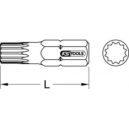 Embout pour tournevis à frapper XZN®, M5 KS Tools | 911.1005