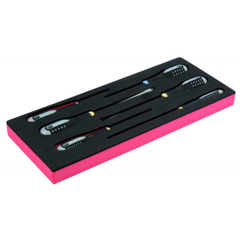 Jeu de tournevis vis à fente/Pozidriv, module mousse 1/3 Fit&Go - 6 pcs - Bahco | FF1E1003