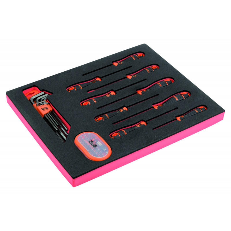 Jeu de tournevis/clés 6 pans/embouts, module mousse 2/3 Fit&Go - 49 pcs - Bahco | FF1F1008
