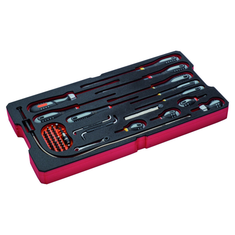 Jeu de tournevis, module mousse pour 4750RCHDW01 Caisse rigide à usage intensif - 48 pcs - Bahco | FF2B14