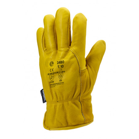 Gants EUROWINTER ALASKA fleur vachette doublé Thinsulate(R) - COVERGUARD | MO2480