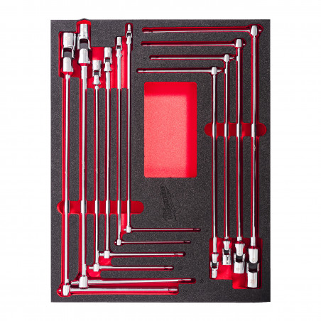 MODULE PACKOUT™ CLÉ EN T AVEC DOUILLE PIVOTANTE 10PCS  - Milwaukee | 4932499295