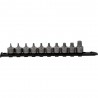 Jeu de douilles à embout 3/8''  TORX, courtes, 10 pcs, T10-T55 - KSTools | 917.4015