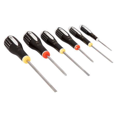 Set 6 Tournevis ERGO INOX - Bahco | BE-9881I
